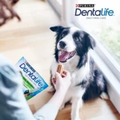 DentaLife PURINA Hunde Zahnpflege-Snacks Großpackung Medium, 84x -Ruffwear Geschaft 3d22bf74a99660236ce1548620fac8aa3ac8818f 7dac1d18ca011066644ad899fee9fa3bcb5974f5