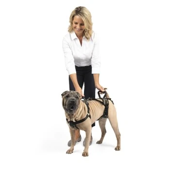 PetSafe CareLift Hebegeschirr Für Hunde Beige/ Schwarz M 4 PetSafe CareLift Hebegeschirr Für Hunde Beige/ Schwarz M – Bild 2