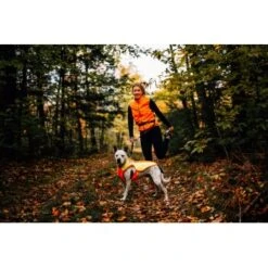Ruffwear Lumenglow™ High-Vis Hundejacke Orange XL -Ruffwear Geschaft 40663366cb362acd2f222531a6c489c5dd028940 1378153 de DE 6ea16c8681e07ff1404b1bde8c0b1b4ddb6fa478XOeqLy