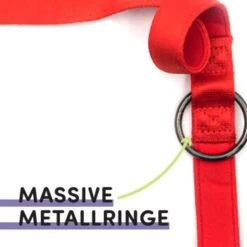 STUCH Hundeleine - Führleine - Medium Rot -Ruffwear Geschaft 417b667e17cc878e03d99935a0455feb62c1f5b9 1399118 de DE 95ade165f5933b21f71491f3eeb1769591b52c61Sn9mqZ