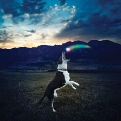 Nite-ize Nite Ize GlowStreak LED Ball -Ruffwear Geschaft 43e2b2f69678f8bd9a4783234d4d2f0f6539de2c aa0d4fe645719d25b1229e63d789e39274accd93