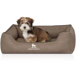 Knuffelwuff Orthopädisches Hundebett Columbia Aus Laser-gestepptem Kunstleder Stone Clay M-L -Ruffwear Geschaft 47c92a57602f687c6095d53b46b9ef5c222ec6db 1411988 de DE 7d0d998f7e88952033b06ef3262d7d150f2bedf5NmxHjF