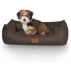 Knuffelwuff Hundebett Dreamline Aus Velours Braun M-L -Ruffwear Geschaft 4874a718fee5f0bdcb64f710c17c88a67ef28955 1411758 de DE dafae6b74b3af75ee424a346e8806ecd50415f171FsFRH