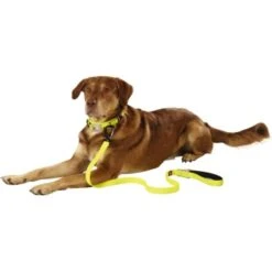 Dogs Creek Leuchtleine Polar Light 9 Dogs Creek Leuchtleine Polar Light -Ruffwear Geschaft 48ec78e33596b92140d6b3398e8f71750d03c13c b92f1359dc8ad4069aab6c61ba7cbbf439b4b6f2