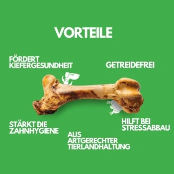 Irish Pure Giant Beef Bone 4 Irish Pure Giant Beef Bone – Bild 2