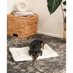 Lionto Wendedecke, Liegedecke Für Hunde & Katzen S -Ruffwear Geschaft 4dea5b2d7c3ea6578ef924cf0c313217a764772b 1657054 de DE a6d961d43608de891ee453c8e7ecd33abc1eed52hNVnci