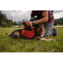Ruffwear Front Range™ Hundetagesrucksack Rot XS -Ruffwear Geschaft 4e85c5fcf8221559a11a36a85cf18292f16c7ae6 1639836 de DE e32c1ef235eed898fdfb11ee92e223827867be67d4f5kE