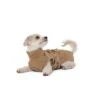 Lills Lill's Hundebademantel "Sand" 30 Cm -Ruffwear Geschaft 52f46aa046711d6de7280303fcb834616d411963 1488040 de DE afdddd80a29bcf00bf2e5fcfa25851139dc3a8fdeqvcK6