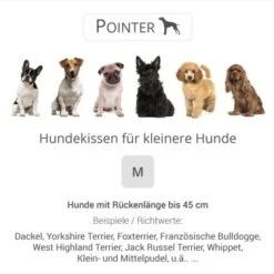 Pointer Liegekissen Khaki M -Ruffwear Geschaft 5c95e0c5cd34d73a5613280bd9c008b2338ac28e 65d97dccf50f65346fc9d81c1d0c8309bc74a4d7