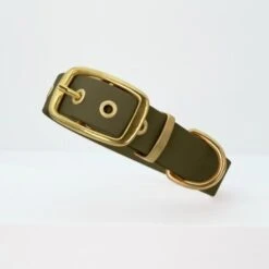 THE DOG IDEA Biothane Halsband Gold Khaki M -Ruffwear Geschaft 5f39446a1ee14dab16a89a3689929003861983a8 1655419 de DE fdcb084ec6e1b995d3a74426085016a70227a578xTiAJp