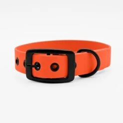 THE DOG IDEA Biothane Halsband Orange Schwarz XS -Ruffwear Geschaft 6066035c58de43c6b1325d64c80d6802fe289b19 1662780 de DE f0a0331fa48f04335c46dfa491e909692165d1305PAy7H