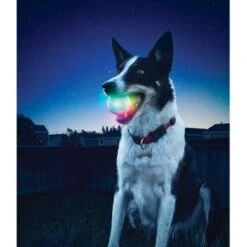 Nite-ize Nite Ize GlowStreak LED Ball -Ruffwear Geschaft 608322f1a703e3689310eb61023c076f794fcb42 74594ad17ce0b41da7e2f352b44358884023f71d