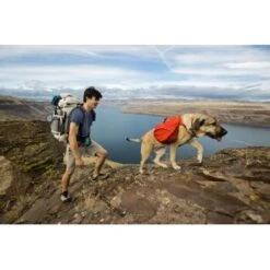 Ruffwear Palisades™ Hunderucksack S -Ruffwear Geschaft 60c954f30ecabd55f38cc9da656fbb1052cc485b 1444346 de DE 32060bc2f2e11825f314b0e0ab3008d891806557N4p73H