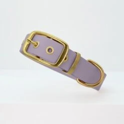 THE DOG IDEA Biothane Halsband Gold Lavendel M -Ruffwear Geschaft 619213e76f8da7b2f4c7aa759ba2035a1a9e7915 1655433 de DE 8f6934c82faf1ad66975b0826138b1f21a50c6ca7g5AE5