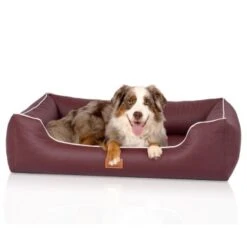 Knuffelwuff Orthopädisches Hundebett Aus Kunstleder Lovelock Bordeaux M-L -Ruffwear Geschaft 6255a556979a4796fcbc28c238da9224cfb8661f 1412201 de DE 815d50cee4eb3eb78e6ede8d498a09045e4968f0ueFgBo
