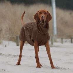 THE DOG IDEA Bademantel Every Braun XXXS -Ruffwear Geschaft 62c517832f7f923b83b0a0ee681a77b2e33cc3c3 1473036 de DE 2393ef51979dd0191b0261c826741cb7543b7b3brAaZfV