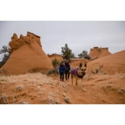 Ruffwear Overcoat Fuse™ Hundejacke Violett XXS -Ruffwear Geschaft 63f0f6c2ce316cb05ad8327a81fc0693c061f7c9 1639761 de DE c1f94f51e318dc9402504b3760a5b7d8c990fb78cnSRrn