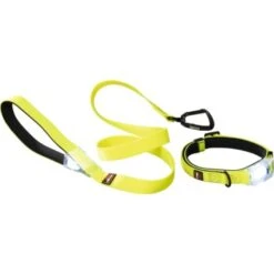Dogs Creek Leuchtleine Polar Light 11 Dogs Creek Leuchtleine Polar Light -Ruffwear Geschaft 64ae5c1472e9e4773f1a8854da070fd0cce773c7 ea164e0dc8f6456f28ef7ded8cf179b49ef22ba3