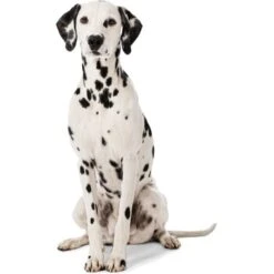 MORE Liegeplatz Cord LOOKS By Wolfgang Joop M -Ruffwear Geschaft 6828406bf5c097465ec912985de2b95c60385f12 1410461 3