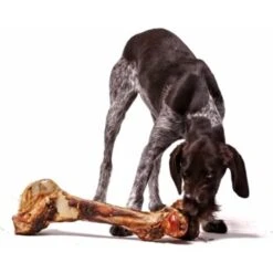 Irish Pure Giant Beef Bone 11 Irish Pure Giant Beef Bone -Ruffwear Geschaft 6903e89fe19b581d968d870adfc6091e65defe6e 1288899 de DE 59b1dfc4bf54e712927d1b3836b3e67c045cd6ea9sucte