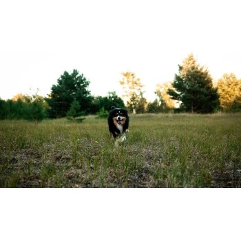 Mammaly Immu Push 110g 5 Mammaly Immu Push 110g – Bild 3