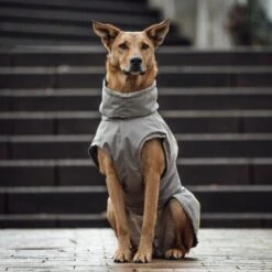 THE DOG IDEA Regenmantel Duke Greige XXXS -Ruffwear Geschaft 6e94766435e0ee76deb96e14448408b91f0a4451 1472991 de DE 584dd93ca54aaa1360a81dd9d1f80b6546af5974nSN2ZF