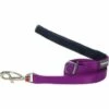 Red Dingo Leine 12 Mm X 1,8 M Einfarbig Violett -Ruffwear Geschaft 6f0019d1b2123eea933ed3fa9949d0943597ad85 1471270 de DE 3e86e2f18e3d4af9f8094f7c4d07aa919ea840ec01lTAI