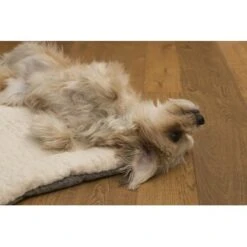 TrendPet Heaven Gefütterte Liegedecke Beige XS 18 TrendPet Heaven Gefütterte Liegedecke Beige XS -Ruffwear Geschaft 6f0762b8ea010ef696f1e6b7b2d164775a699202 1247692 de DE 1b30b7ee4e67b9ef5127b085f041b5de3ea0fafdm2xGRF