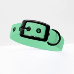 THE DOG IDEA Biothane Halsband Mint Schwarz XS