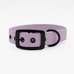 THE DOG IDEA Biothane Halsband Lavendel Schwarz S -Ruffwear Geschaft 73f9e0f0cd3376b3324f197e9e830f076848295e 1662775 de DE 042a5e31100b1aea1ee32c5b4f32d821e701db47NYhRDx