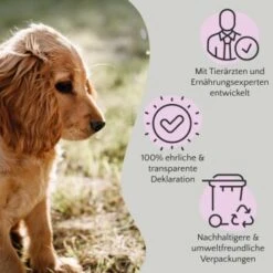 FAVLY Petfood FAVLY Probierpaket "Snack It" -Ruffwear Geschaft 76de882c7775b6f702fd4d6da347da46c83b7668 1475299 de DE 908544d2c24927cde4ce8f1acefe41ebea7bec29ERVYJt