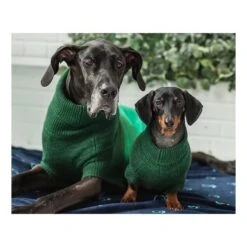 GF Pet Trail Pullover Forest Grün XXXS 7 GF Pet Trail Pullover Forest Grün XXXS -Ruffwear Geschaft 779f298087cae5c721d39d0e409ff830d9702e07 51764b41ec1e519efc4e7ae3561161e25d618dc0