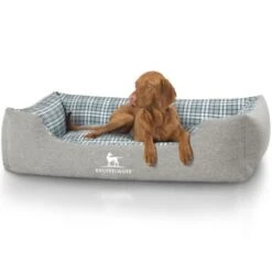 Knuffelwuff Hundebett Lennard Aus Velours Mit Karomuster Grau/ Grün XXL -Ruffwear Geschaft 77cd2fde6feceace1fba07d8f7047a2d273aad91 1411841 de DE 568bc0d024899bdc6bfb944935cc91159a88fbdee2ARA2
