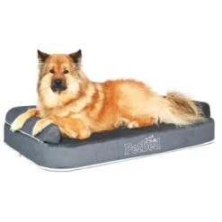 Petbed Wasserbett 120x70cm Anthrazit -Ruffwear Geschaft 781bc1dfa6d473c64738de4d42fe751dc21256c6 1500826 de DE 7aa6c8bf7ba16679c880890227004a41772a280aiK6UaE
