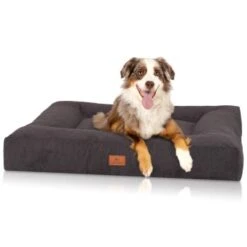 Knuffelwuff Orthopädisches Hundebett Aus Velours Mit Handwebcharakter Sofia Schwarz M-L -Ruffwear Geschaft 7866a9ee37c544973ba623a007f339621db79188 1412217 de DE ddebd15250c94eee8e106bcaced6cd1e1c5dc83cEquHPd