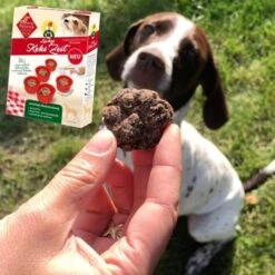 ChronoBalance Backmischung Für Hundekekse Getreidefrei + Form Mit Apfel & Dinkel -Ruffwear Geschaft 791cb4d2028c3feba1e17eb7afcd1dc0477a3e51 1409548 de DE 8fa4e8db7b8a77ca60b4ef08f2d4cbbb72f1ad0bO5ya0q