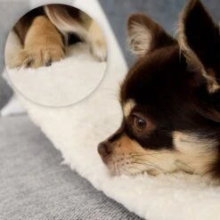 Lionto Selbstheizende Wärmematte Für Haustiere 14 Lionto Selbstheizende Wärmematte Für Haustiere -Ruffwear Geschaft 7b7478322070a88393ca3a5ce3bc6fc7dc82a6ad 1665986 de DE 051d4bf94c6c9b490452613e4a20003dcd71ba8cXGeo9D