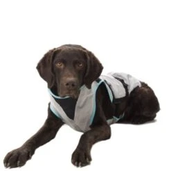 Trovet Suitical Kühlweste Dry Cool M -Ruffwear Geschaft 7c6cb463b1c403c67dd5b0537c226320cd47afee 1321386 de DE Trovet suitical 5 Kopie
