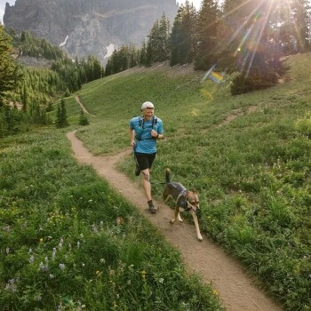 Ruffwear Geschirr Front Range Royal S 4 Ruffwear Geschirr Front Range Royal S – Bild 2