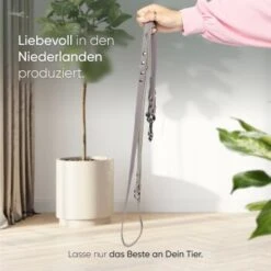 Freudentier Führleine Aus Leder Braun/ Grau 2 Cm -Ruffwear Geschaft 7f602b438c9cbacbd0e4a958a8ce2db067d478c2 1421435 de DE 1537c36aedc8e49b53e65c7c63ce1c61d6b454b1XWq0Jx