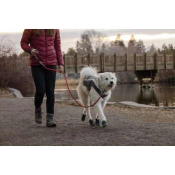 Ruffwear Just-a-Cinch™ Leine Rot 12 Ruffwear Just-a-Cinch™ Leine Rot – Bild 10