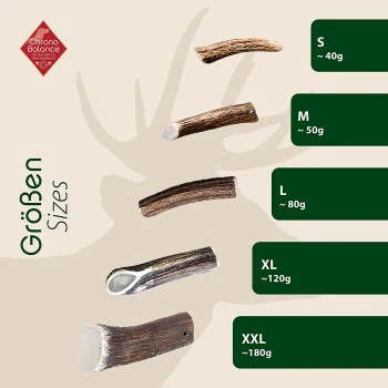 ChronoBalance Rothirsch Geweihstange Halbiert 50 G 7 ChronoBalance Rothirsch Geweihstange Halbiert 50 G – Bild 5