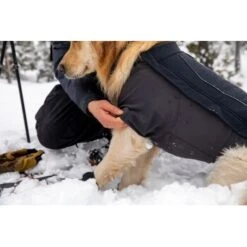 Ruffwear Cloud Chaser™ Hundejacke Schwarz XXS 19 Ruffwear Cloud Chaser™ Hundejacke Schwarz XXS -Ruffwear Geschaft 839577c6525280e266f62f99f67ccc111fd75c4b 1369623 de DE 87ed046f15d6c099e4f33a0b92b8494c495a6d97bF4WS9