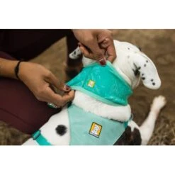 Ruffwear Swamp Cooler™ Kühlendes Halstuch Blau/ Türkis XXS -Ruffwear Geschaft 84380b323534f706adb064c5f59bfe1f6f8adfcb 1639914 de DE 09b76313830836f68f333eee06c0a6bd83fbeec4Hirkw3