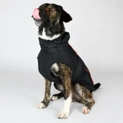 THE DOG IDEA Regenmantel Duke Schwarz XXXS -Ruffwear Geschaft 863376961667ca6c294058e1841165455ef26486 1472973 de DE fd2a8283e08d439e84b2d44dedfefd70670ba2818PHr36