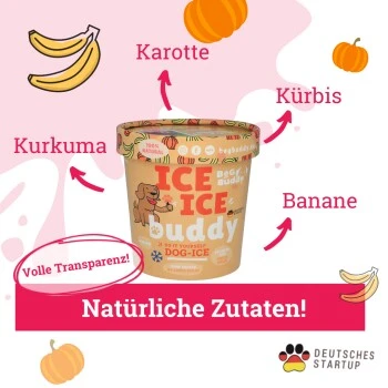 BeG Buddy Starter-Kit Hundeeis, Eis, Kürbis 4 BeG Buddy Starter-Kit Hundeeis, Eis, Kürbis – Bild 2