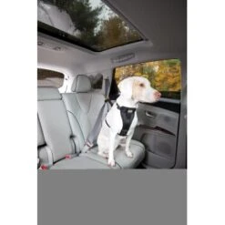 Kurgo Sicherheitsgeschirr XS 13 Kurgo Sicherheitsgeschirr XS -Ruffwear Geschaft 87813e7da78344d76194991149b2935972cb3fc9 9b7a4549d6992d8434083c74ff0b43057fd79273