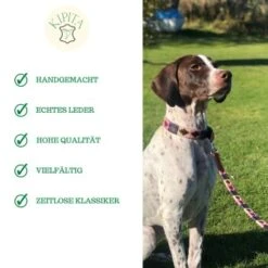 Kipita Polo Hundeleine Rainbow -Ruffwear Geschaft 8abb42b32cbc1eac256c2e5aaed5b5ad720cf72c 1410959 de DE e149407534bdcfb2672e3057857c7f56cd770233aiC6wq