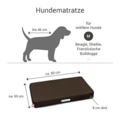 Doctor Bark Hundematratze Braun M 14 Doctor Bark Hundematratze Braun M -Ruffwear Geschaft 8abe0340ce832664c2722d96d1e321211e8fd65b 1658174 de DE ef448a38ca6ae1689b1395db88153ebc88580afayC3rpx