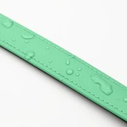 THE DOG IDEA Biothane Halsband Mint Mint S -Ruffwear Geschaft 8b56ebbdaaffac6755df46ff5e991ac1f2e098f1 1679174 de DE 917dddc9a1240fb91bb3a35d4cda568edf48f015TLoJLR